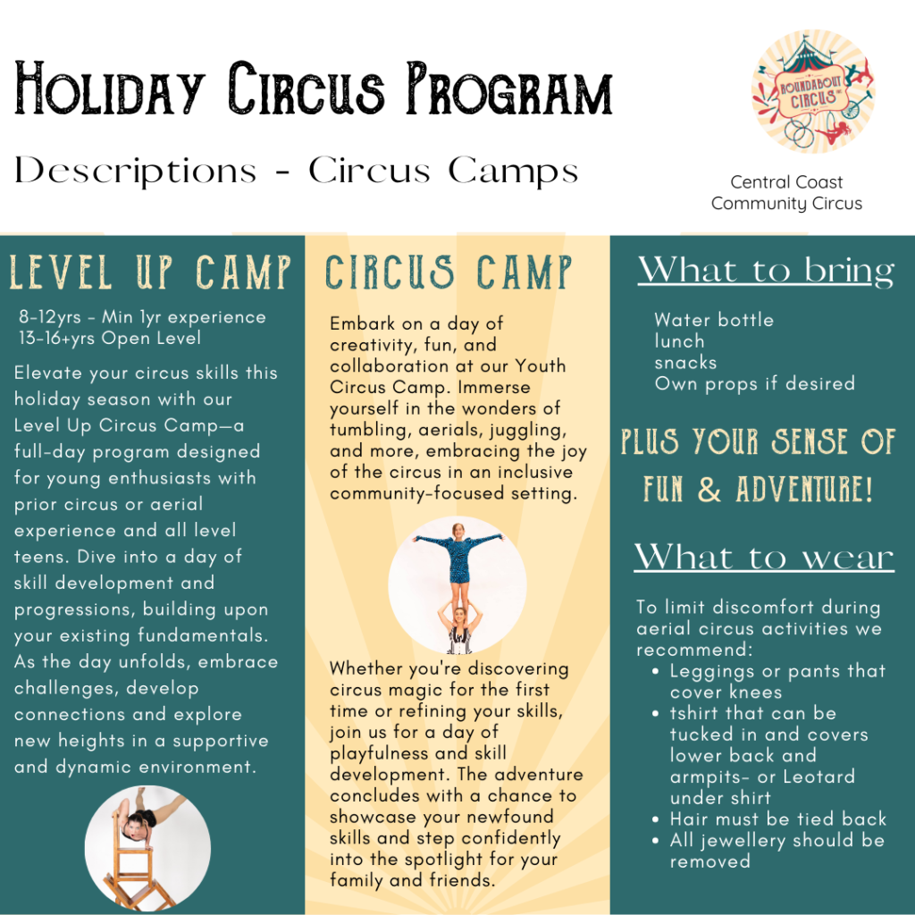 Holiday program circus workshop descriptions