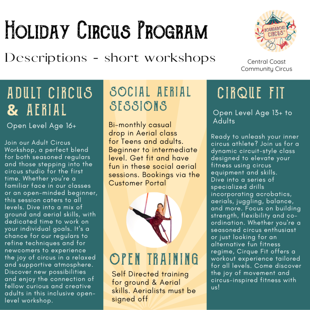 Circus holiday program adult class descriptions - aerial, juggling. open training,