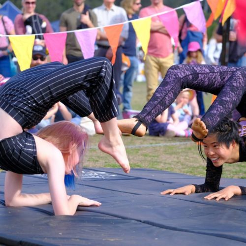 Roundabout circus performance horses birthday Central Coast